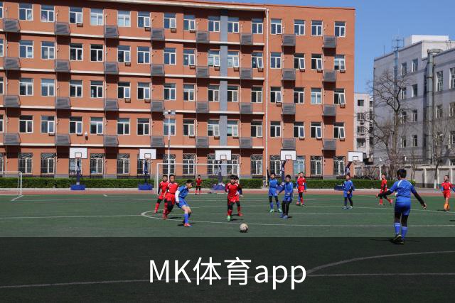 关于MK体育app